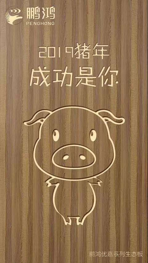 1-1Z124095200336 j9国际集团优嘉系列生态板