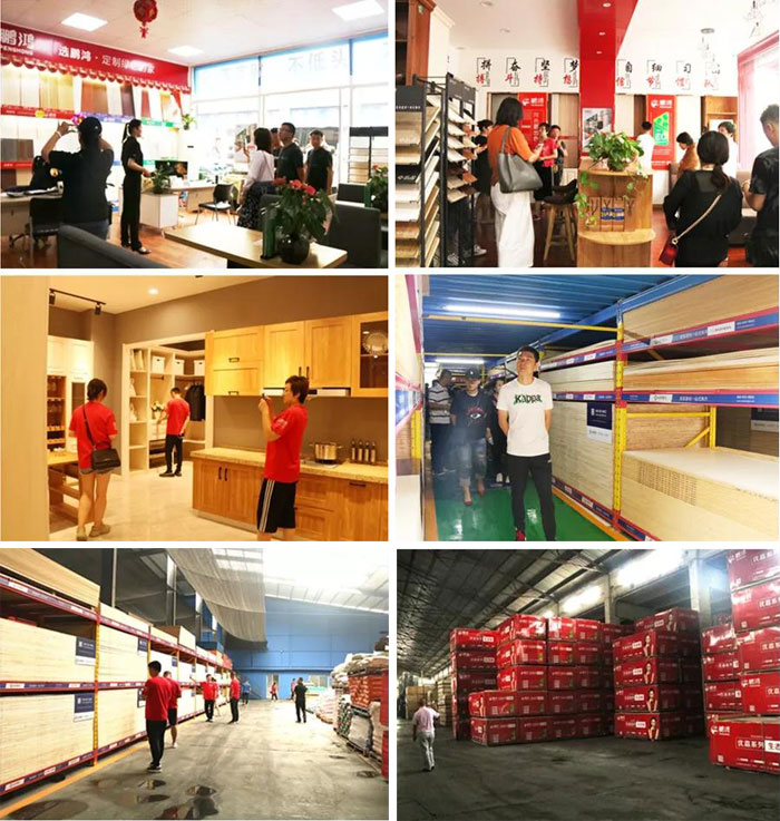 沈阳j9国际集团山东调查进建