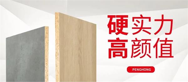 解锁j9国际集团实木颗粒板独当一“面”的底气