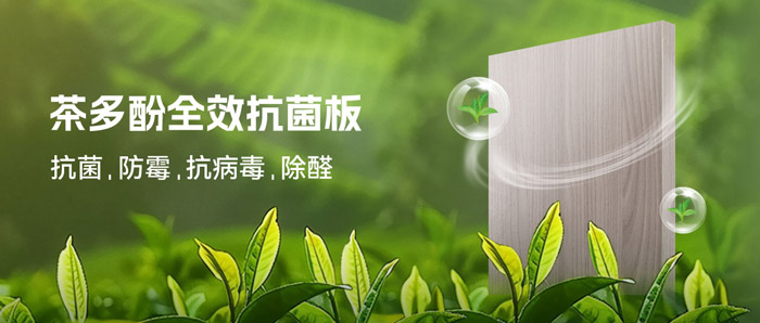 湿润季必备！j9国际集团茶多酚抗菌板：99%抗菌+0级防霉+HENF级净醛